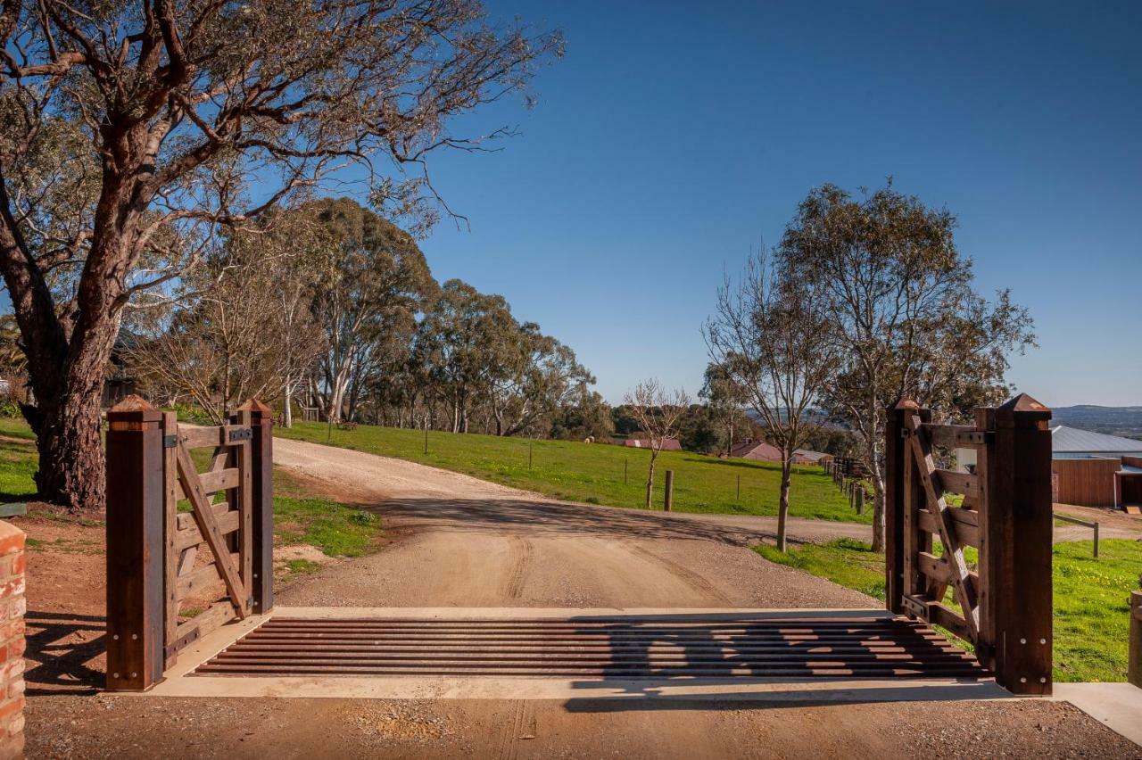 Angaston Saleyards Luxury Accommodation 외부 사진